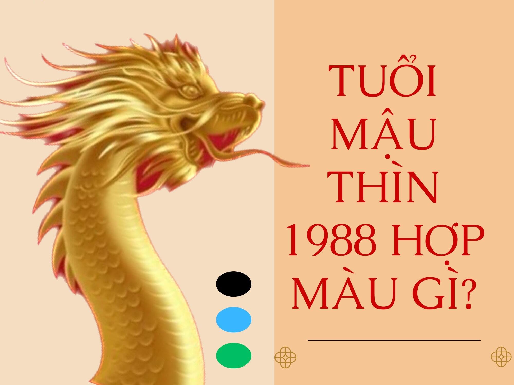 Sinh Năm 1988 Hợp Màu Gì Khi Chọn Màu Sơn Nhà, Màu Xe, Phụ Kiện Phong Thủy?