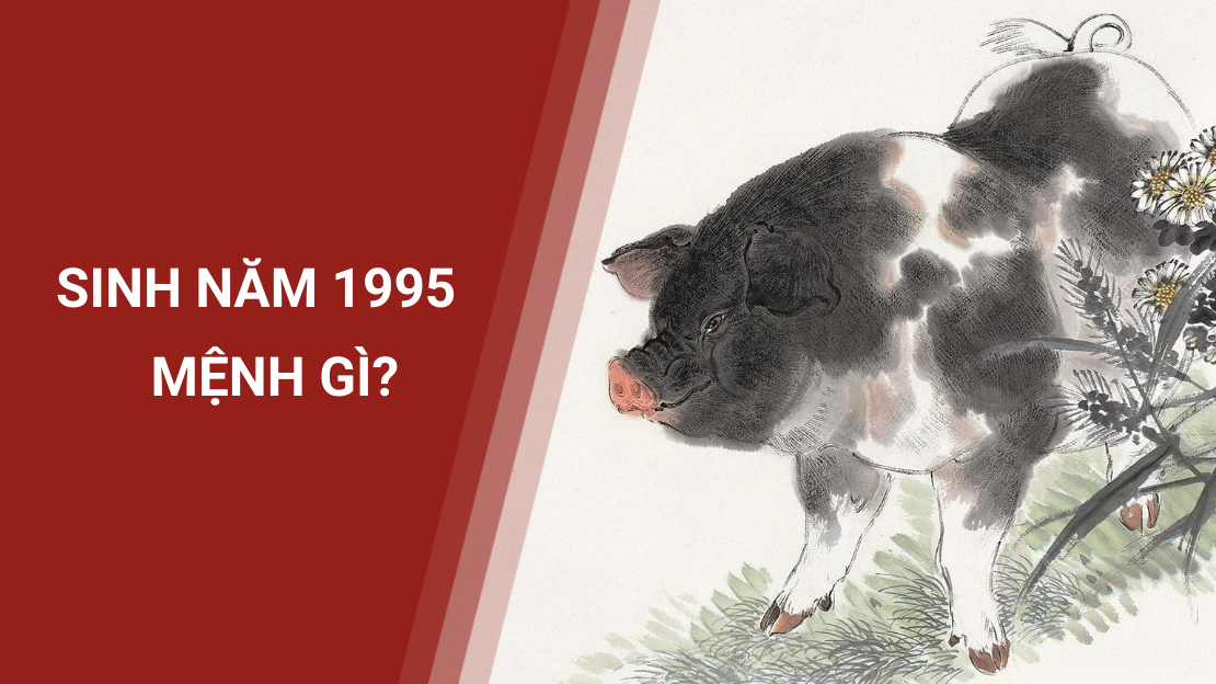 Sinh Năm 1995 Mệnh Gì? 4 Hướng Nhà "Ăn Nên Làm Ra" Cho Tuổi 1995