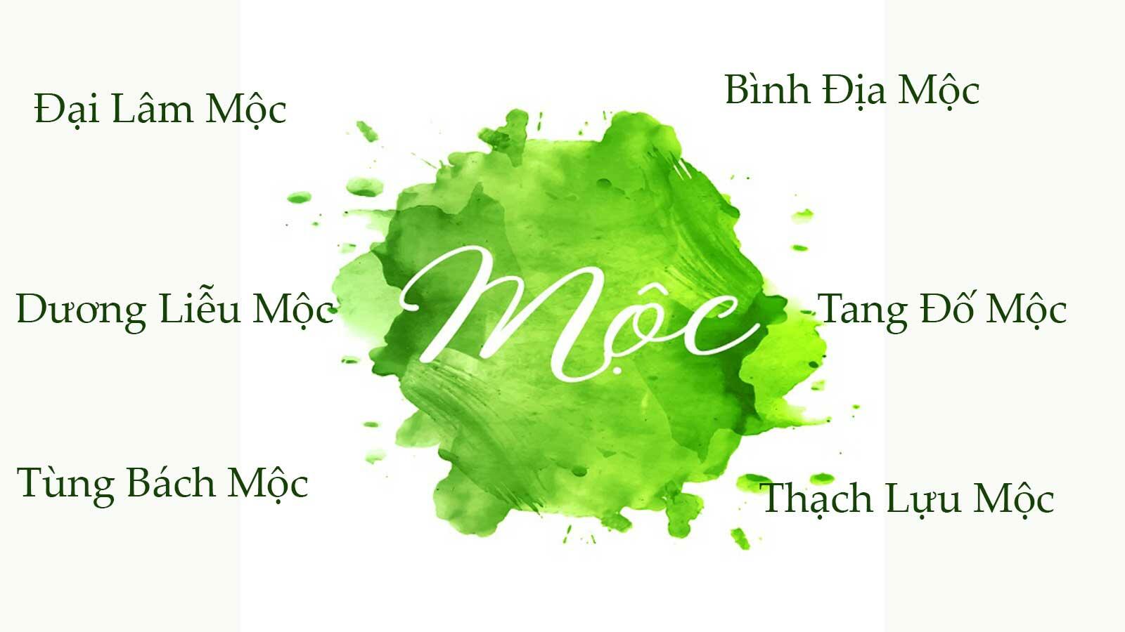 Tùng Bách Mộc Là Gì? Tại Sao Đây Là Mệnh Mộc Mạnh Nhất?