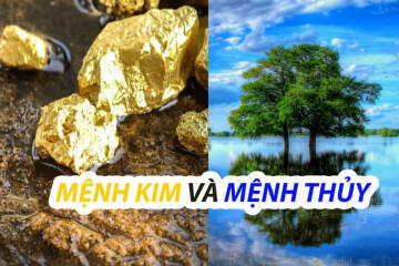 Tìm Hiểu Quy Luật Kim Sinh Thủy Trong Ngũ Hành Tương Sinh