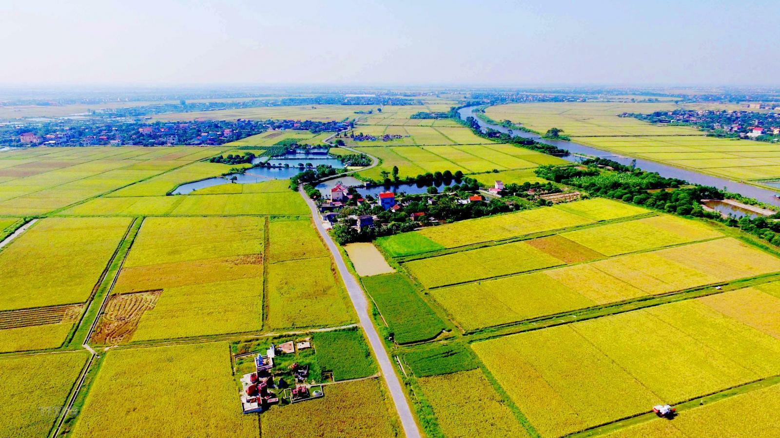Đất Nông Nghiệp Đã Quá Hạn Sử Dụng Có Thể Gia Hạn Tiếp Không?