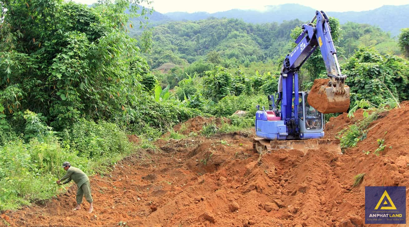 Đất Khai Hoang Là Gì? Điều Kiện Cấp Sổ Đỏ Cho Đất Khai Hoang