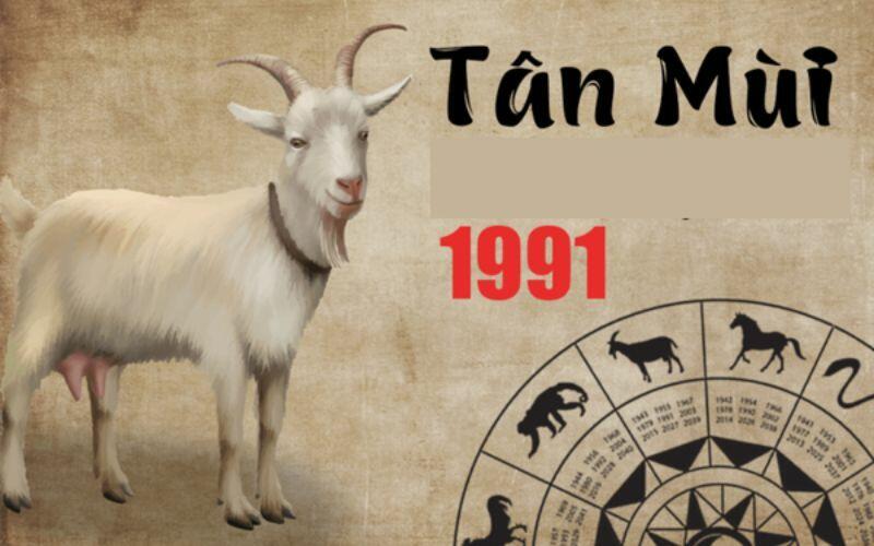 1991 Tuổi Con Gì, Mệnh Gì? Sinh Năm 1991 Xây Nhà Hướng Nào Đẹp?