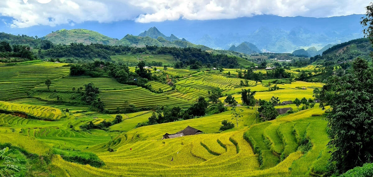 Lai Châu Thuộc Tỉnh Nào? Khám Phá Lai Châu: Vị Trí Địa Lý Và Tiềm Năng Thị Trường Bất Động Sản