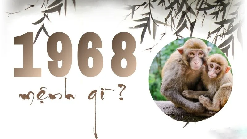 Sinh Năm 1968 Mệnh Gì? Màu Sắc, Hướng Hợp Và Tử Vi Tuổi Mậu Thân 1968