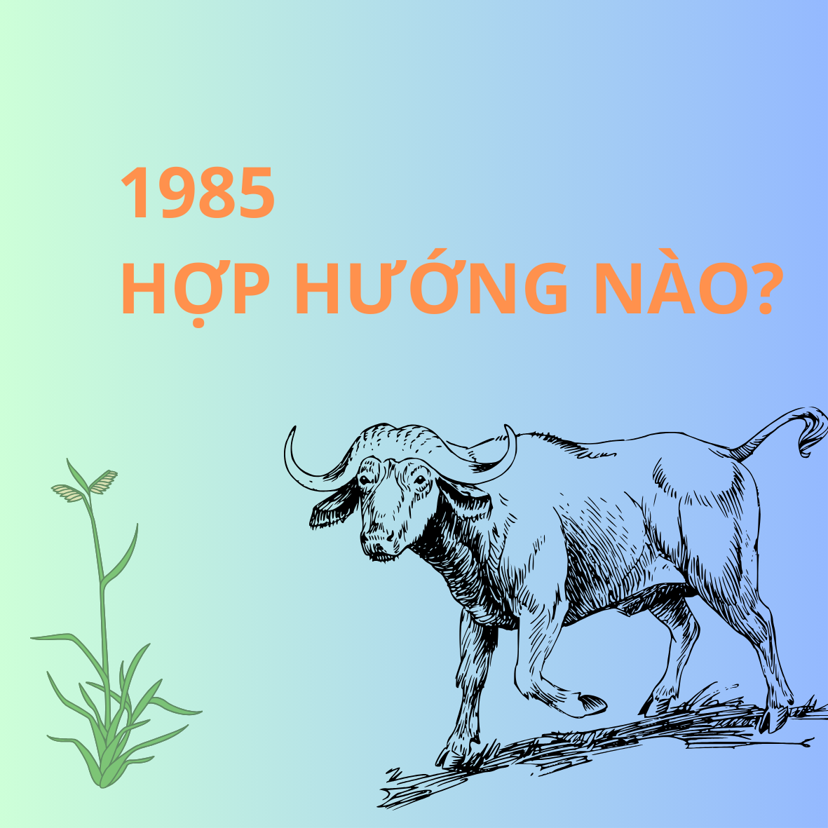 Tuổi 1985 Hợp Hướng Nào Làm Nhà? Cách Chọn Hướng Tốt Và Hóa Giải Hướng Xấu