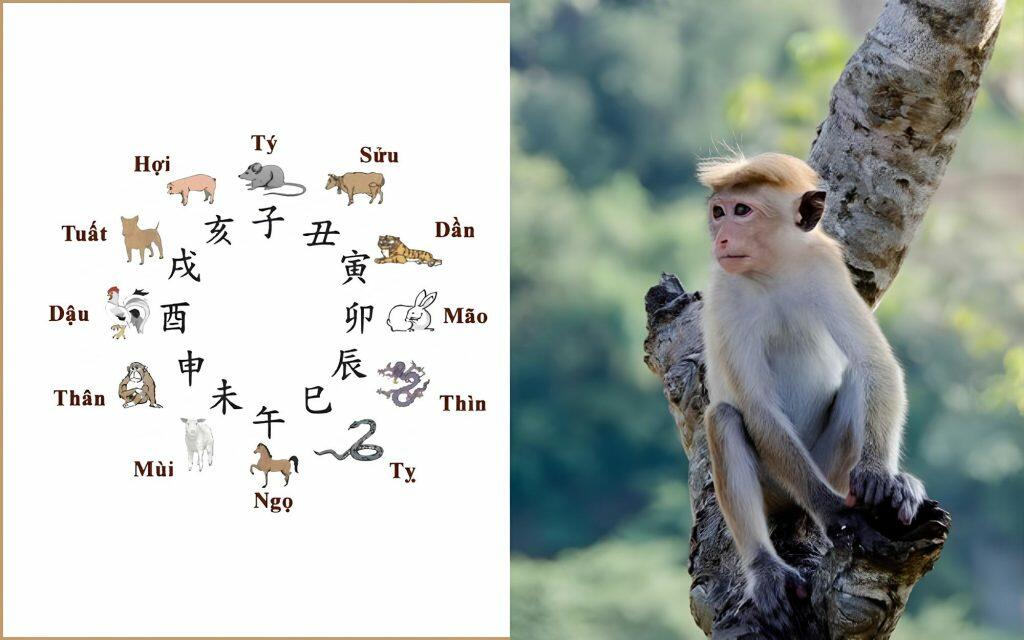 Sinh Năm 2004 Tuổi Con Gì? Hướng Bàn Làm Việc, Hướng Đẹp Làm Nhà Hợp Tuổi