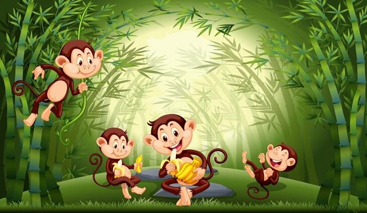 1980 Mệnh Gì? Mua Nhà, Xây Nhà Hướng Nào Để Thu Hút Nhiều Vận May?