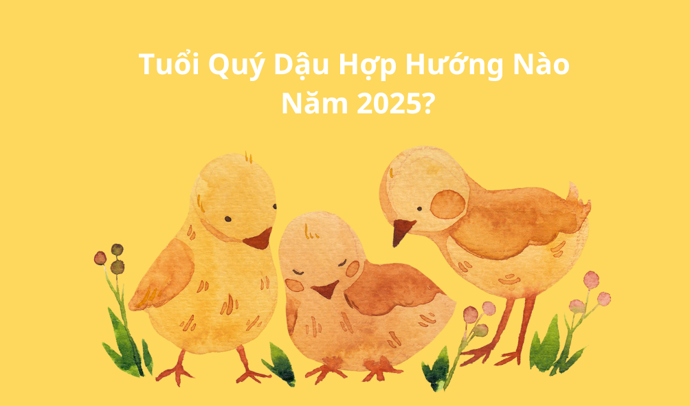 Tuổi Quý Dậu Hợp Hướng Nào? Tư Vấn Phong Thủy Cho Người Sinh Năm 1993