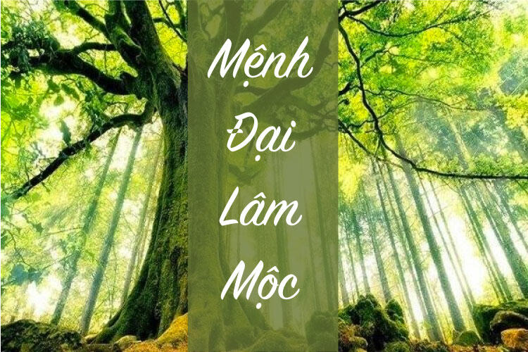 Đại Lâm Mộc Là Gì? Điểm Đặc Biệt Của Mệnh Này Trong Phong Thủy Và Tử Vi