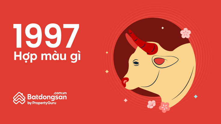 Tuổi 1997 Hợp Màu Gì? Khám Phá Màu Sắc May Mắn và Hợp Phong Thủy Tuổi Đinh Sửu