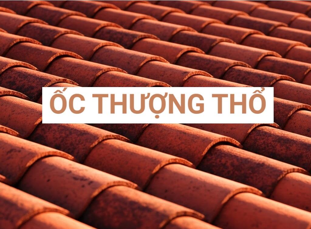 Mệnh Ốc Thượng Thổ Là Gì, Hợp Mệnh Gì, Màu Nào, Hướng Nào Theo Phong Thủy?
