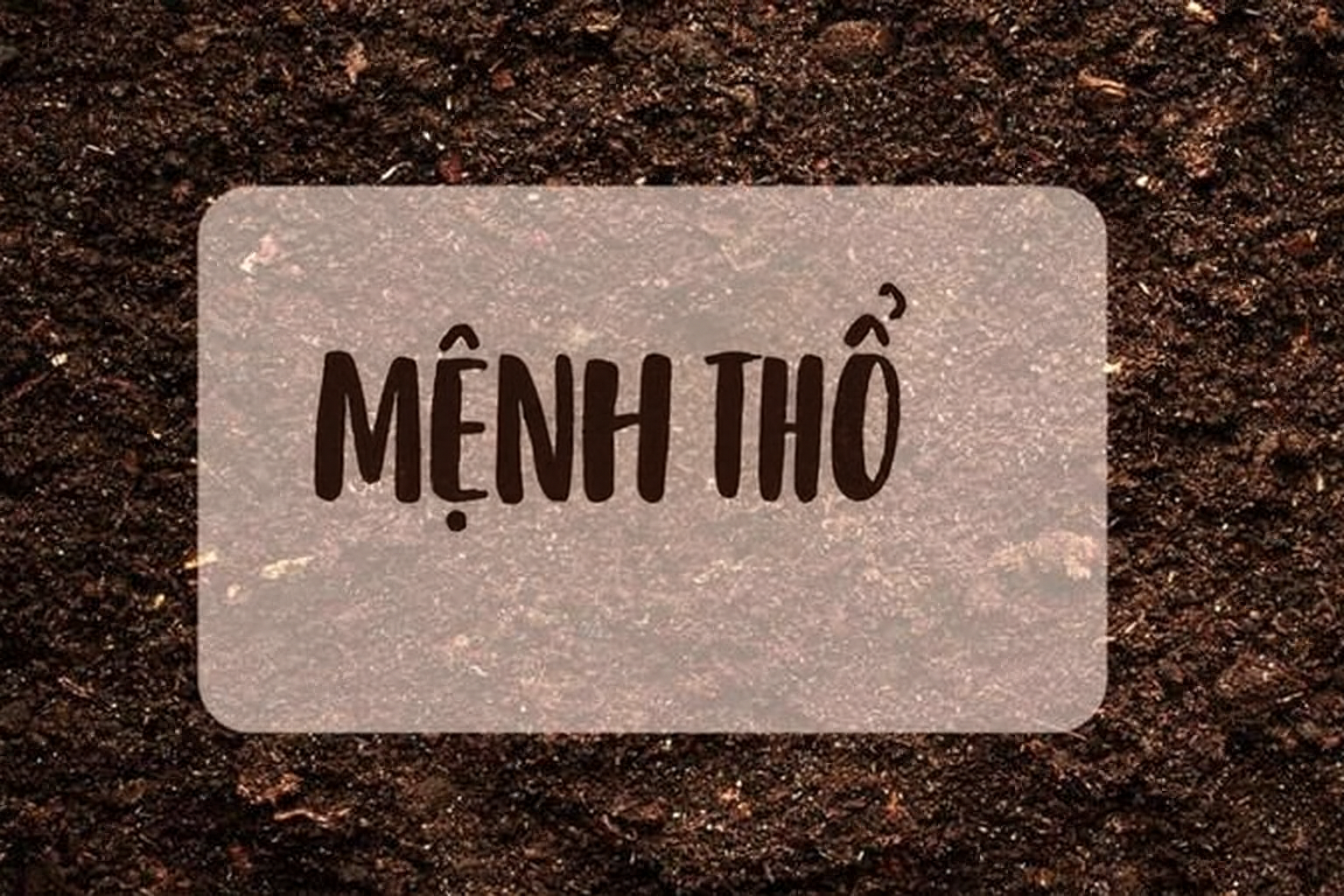 Người Mệnh Thổ Sinh Năm Bao Nhiêu Và Cách Hút Tài Lộc Cho Người Mệnh Thổ