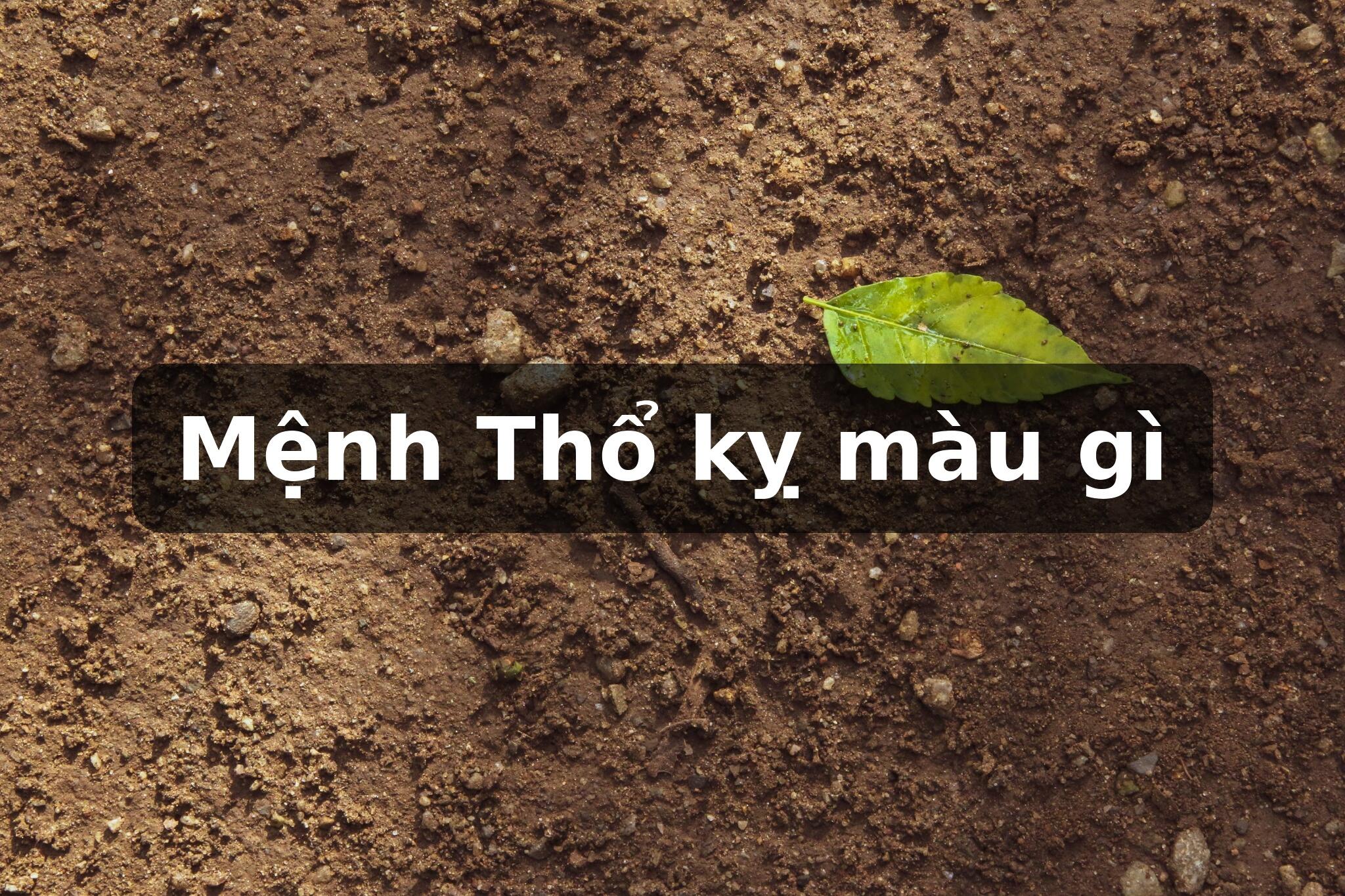 Mệnh Thổ Kỵ Màu Gì - Bí Quyết Dùng Màu Hợp Phong Thủy Cho Người Mệnh Thổ