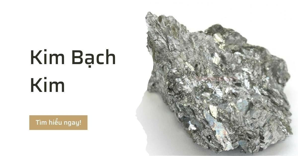 Kim Bạch Kim Là Gì? Các Yếu Tố Phong Thủy Giúp Thu Hút Tài Lộc