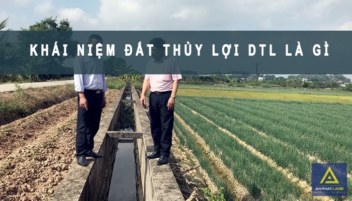 DTL Là Đất Gì? Quy Định Sử Dụng Đất DTL [Cập Nhật 2023]