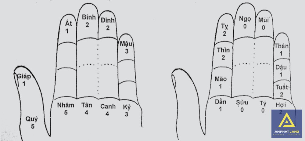 Vị trí Can và Chi trên bàn tay trái