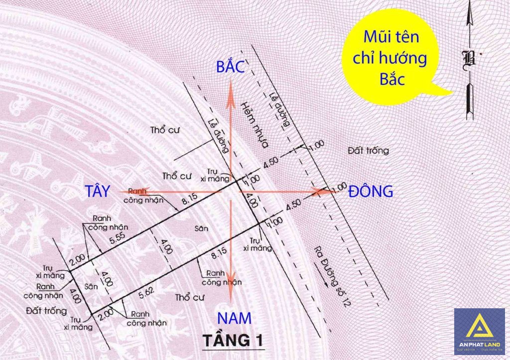 Cách Xem Hướng Trên Sổ Đỏ Đơn Giản, Chính Xác [Cập Nhật 2024]